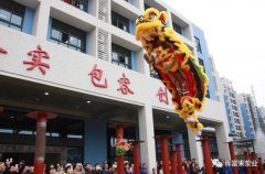 醒狮贺岁，厦门田舟企业网站建设有限公司2019年开工大吉