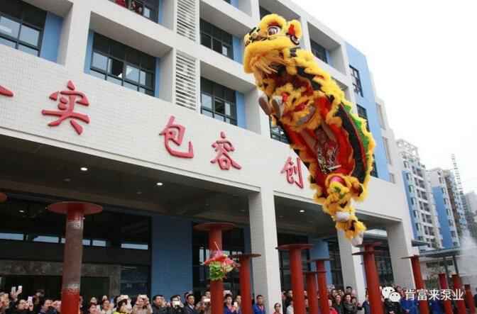 醒狮贺岁，厦门田舟企业网站建设有限公司2019年开工大吉