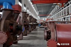 厦门田舟企业网站建设有限公司被评为2019年度三水区骨干企业